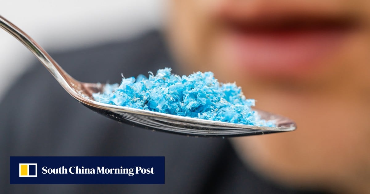 Microplastics in Our Brains: Should We Be Worried? Kiwi Experts Weigh In