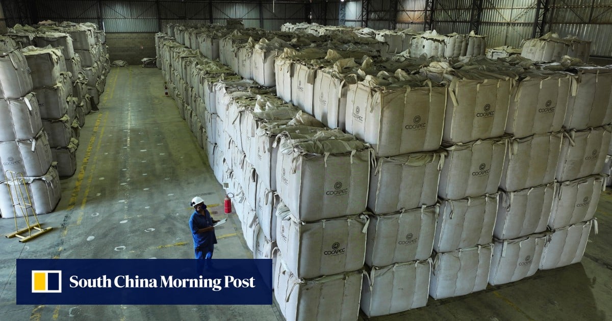 https://cdn.i-scmp.com/sites/default/files/styles/og_image_scmp_generic/public/d8/images/canvas/2025/08/05/397b4ff4-7897-4562-b7fb-3fed89764fc8_8e2f9f57.jpg?itok=cKSzk-th&v=1754344335