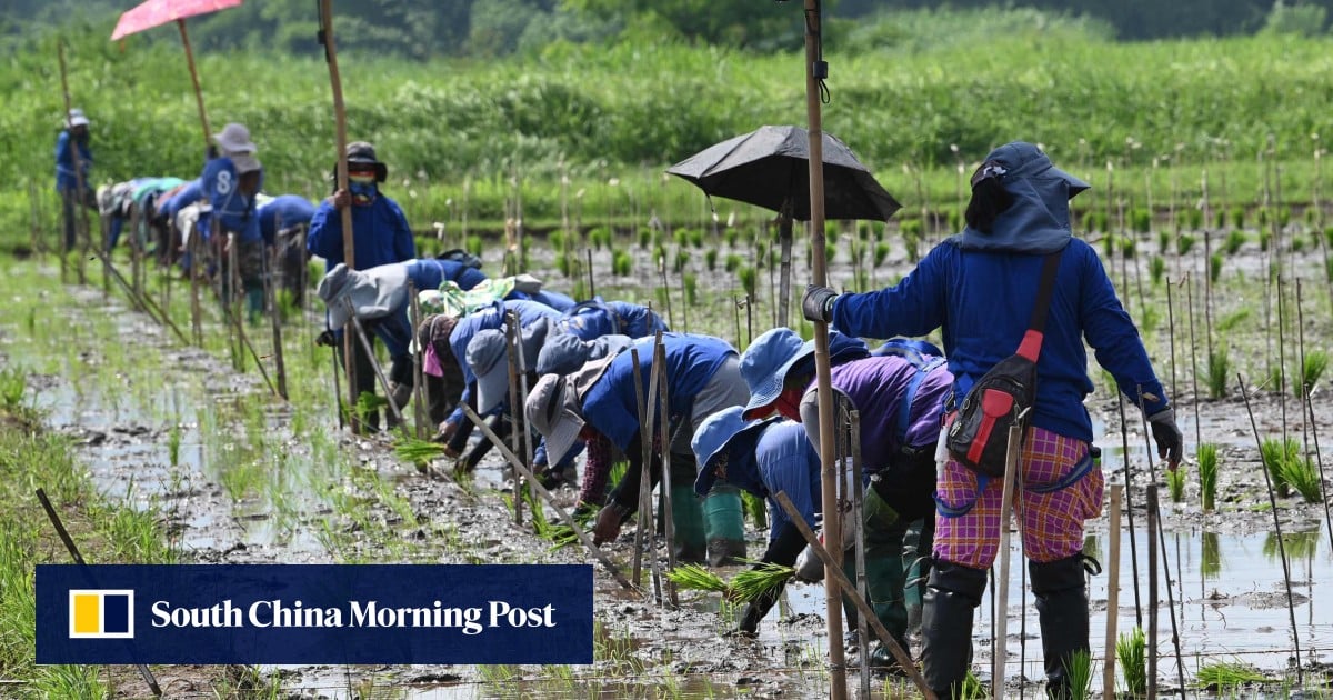 https://cdn.i-scmp.com/sites/default/files/styles/og_image_scmp_generic/public/d8/images/canvas/2025/08/06/36391627-dca7-4a79-912c-7b4e98564df9_8367bf47.jpg?itok=-AIYbh1N&v=1754460819
