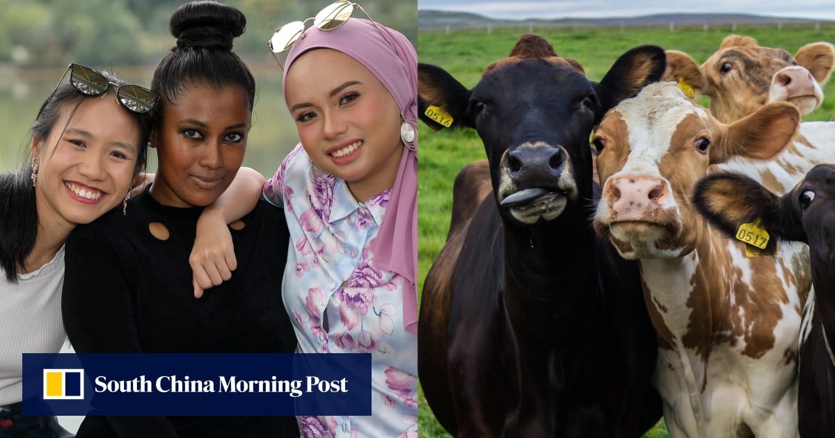 https://cdn.i-scmp.com/sites/default/files/styles/og_image_scmp_generic/public/d8/images/canvas/2025/08/06/875fbea4-950c-4126-ab5d-11be8f55d9db_20663180.jpg?itok=TNIaqWVm&v=1754463946