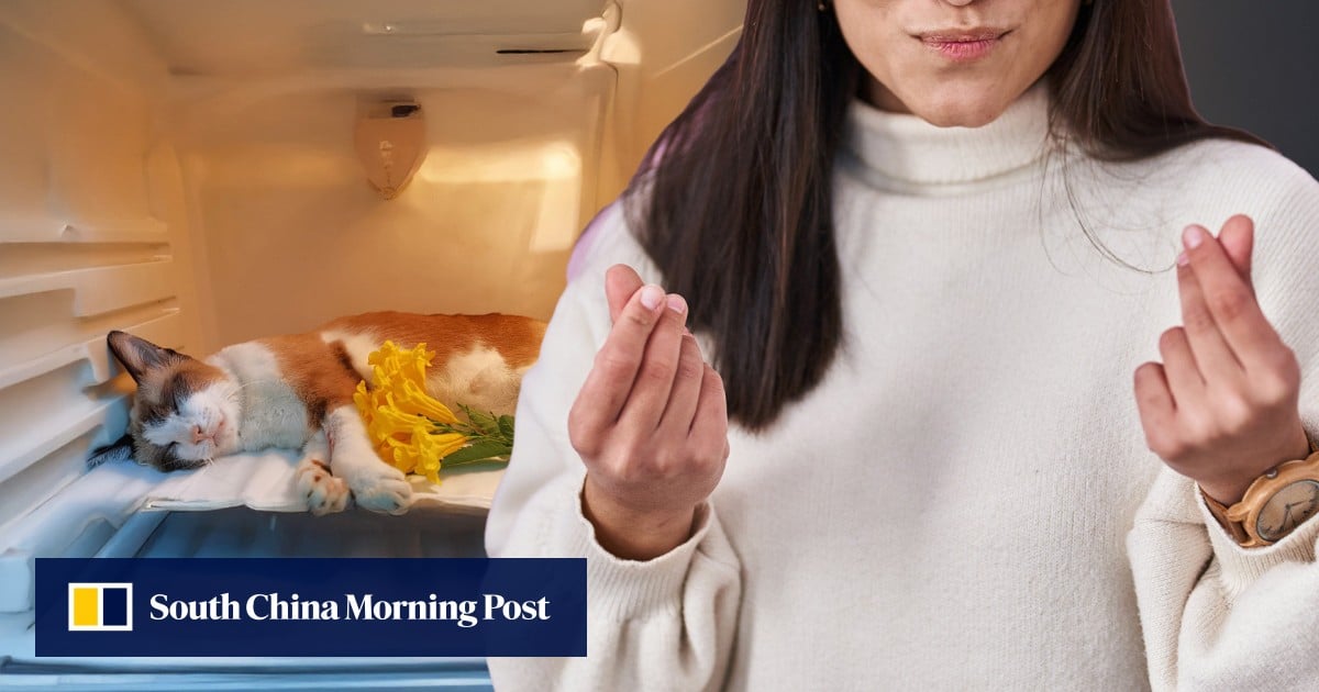 https://cdn.i-scmp.com/sites/default/files/styles/og_image_scmp_generic/public/d8/images/canvas/2025/08/07/4e9abf5d-a6d6-46cb-a641-3f986d636614_951705da.jpg?itok=YAuyTfQb&v=1754558738