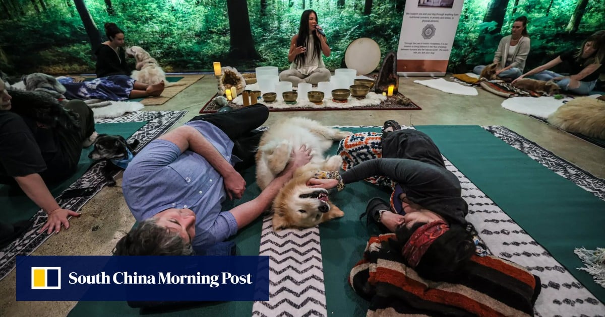 https://cdn.i-scmp.com/sites/default/files/styles/og_image_scmp_generic/public/d8/images/canvas/2025/08/07/867d515c-06da-409c-a7f6-fd82061b62e7_c0692135.jpg?itok=rl29LZpJ&v=1754539888