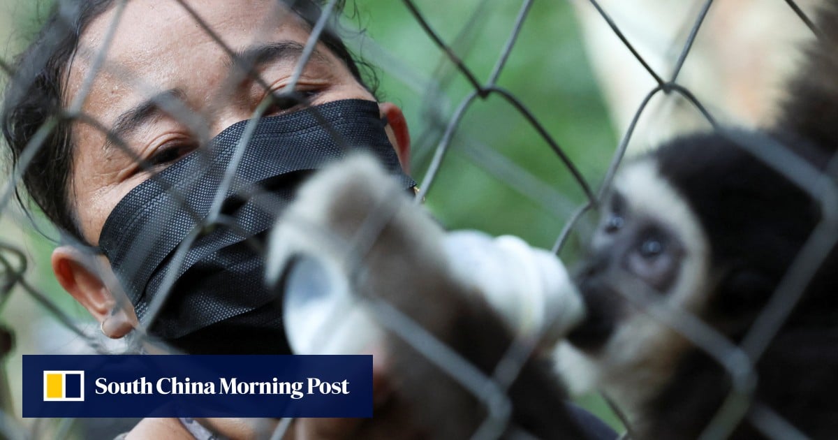https://cdn.i-scmp.com/sites/default/files/styles/og_image_scmp_generic/public/d8/images/canvas/2025/08/08/56e96069-230c-493f-94ae-a07fb88d4ac6_a5fd8119.jpg?itok=0P2RbK0R&v=1754619308