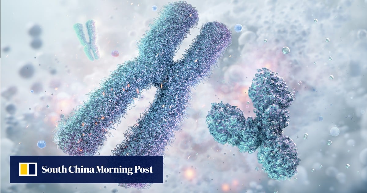 Will China’s new chromosome editing tool unlock new wave of genetic advances? Will China’s new chromosome editing tool unlock new wave of genetic advances?