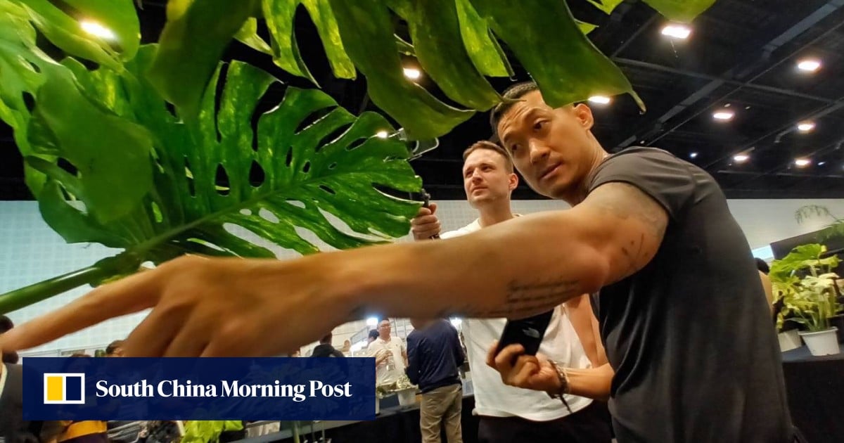 https://cdn.i-scmp.com/sites/default/files/styles/og_image_scmp_generic/public/d8/images/canvas/2025/08/08/de312477-caaa-4e7e-aa89-997021b76635_1cc2be84.jpg?itok=pbtBEwqX&v=1754655737