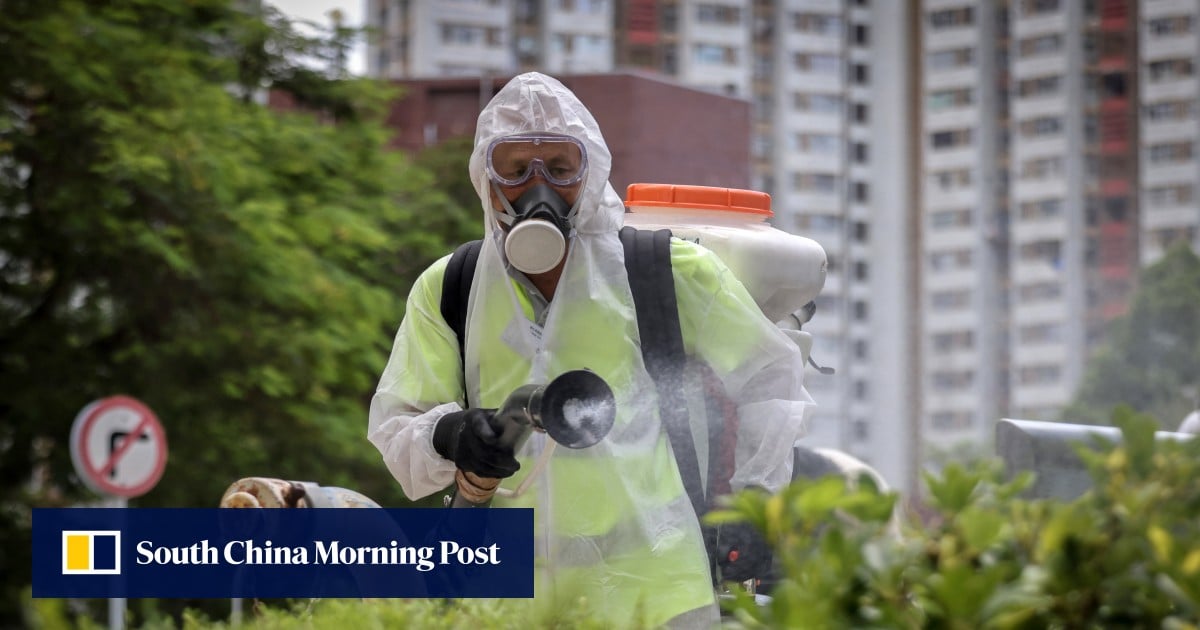 Hong Kong’s No 2 official urges calm over fears of chikungunya fever outbreak