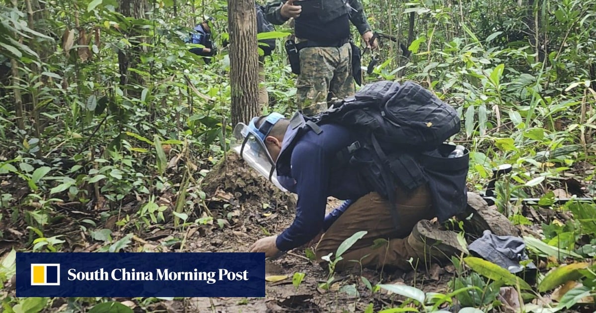 https://cdn.i-scmp.com/sites/default/files/styles/og_image_scmp_generic/public/d8/images/canvas/2025/08/09/cb3a64a3-08b8-4145-abb5-427055750d33_76ce0b77.jpg?itok=7Tnt74sL&v=1754745006