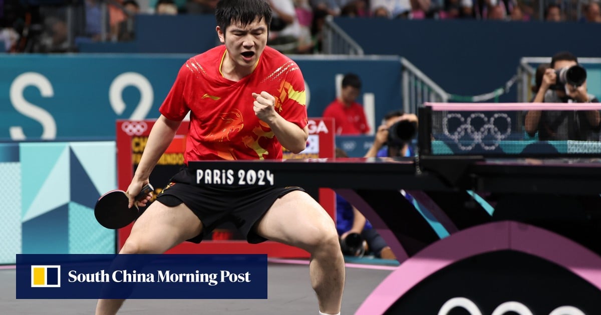 Pandas and table tennis: China’s national icons fall victim to toxic fan culture