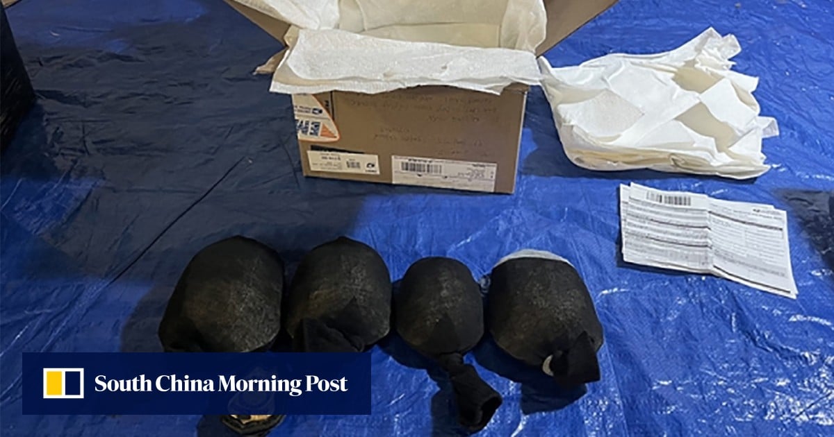 https://cdn.i-scmp.com/sites/default/files/styles/og_image_scmp_generic/public/d8/images/canvas/2025/08/12/375d896f-6bf7-4afc-872d-fc73c041b0fa_93cd6e2e.jpg?itok=dw6HYenf&v=1754944324