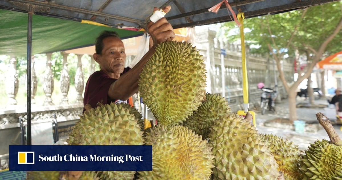 https://cdn.i-scmp.com/sites/default/files/styles/og_image_scmp_generic/public/d8/images/canvas/2025/08/12/39b54c88-2881-477c-b03a-42f7a4923474_44aed507.jpg?itok=cF9K-nyW&v=1754995281
