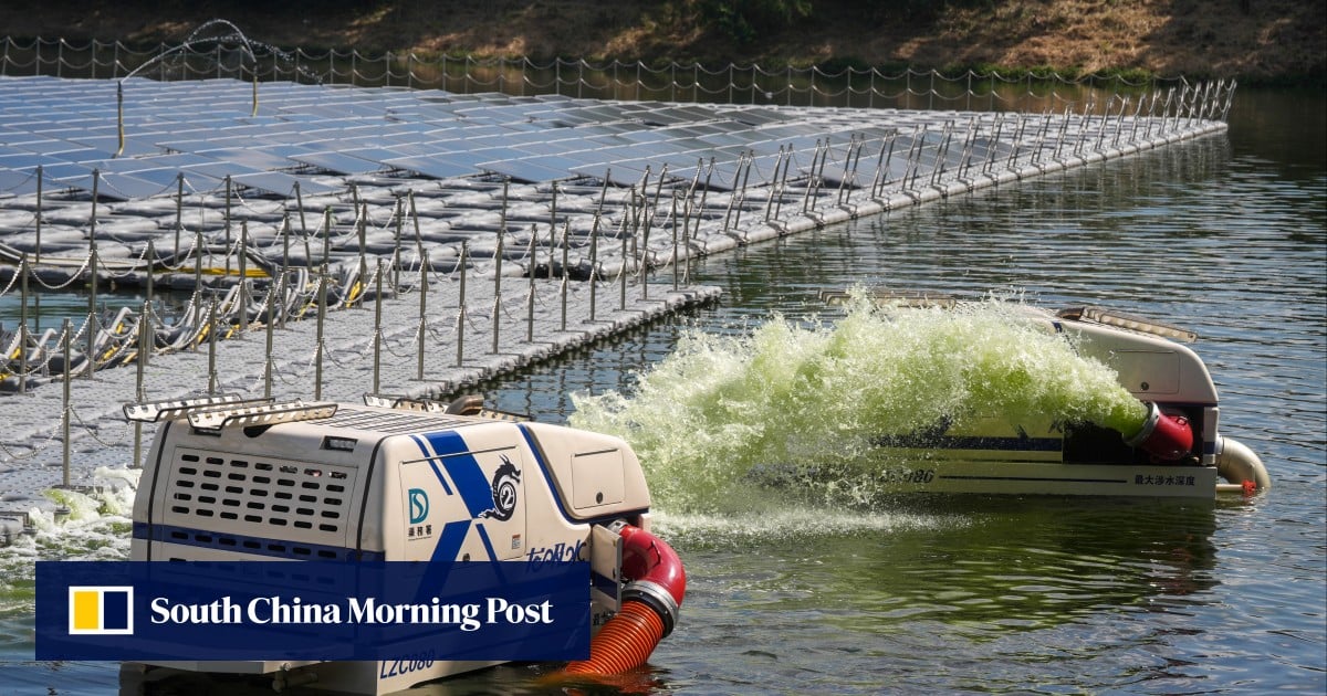 https://cdn.i-scmp.com/sites/default/files/styles/og_image_scmp_generic/public/d8/images/canvas/2025/08/12/47a87328-f7c3-4bef-8210-245f7981a4ac_abe17d98.jpg?itok=H9sfXmws&v=1755000146