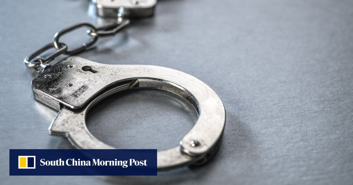 Hong Kong police arrest 3 women for alleged HK$1 million pet company theft