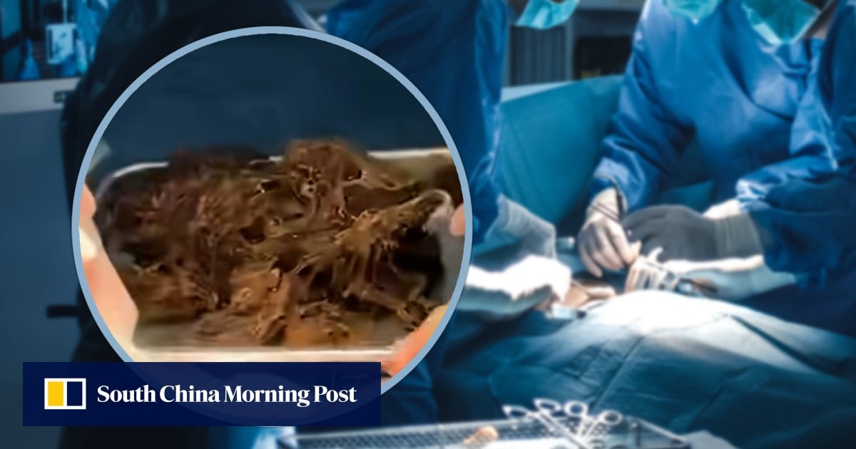 https://cdn.i-scmp.com/sites/default/files/styles/og_image_scmp_generic/public/d8/images/canvas/2025/08/12/cb2c9129-c34f-474a-9622-c2976ddb130e_a36faea0.jpg?itok=s2CRbUE6&v=1754979381