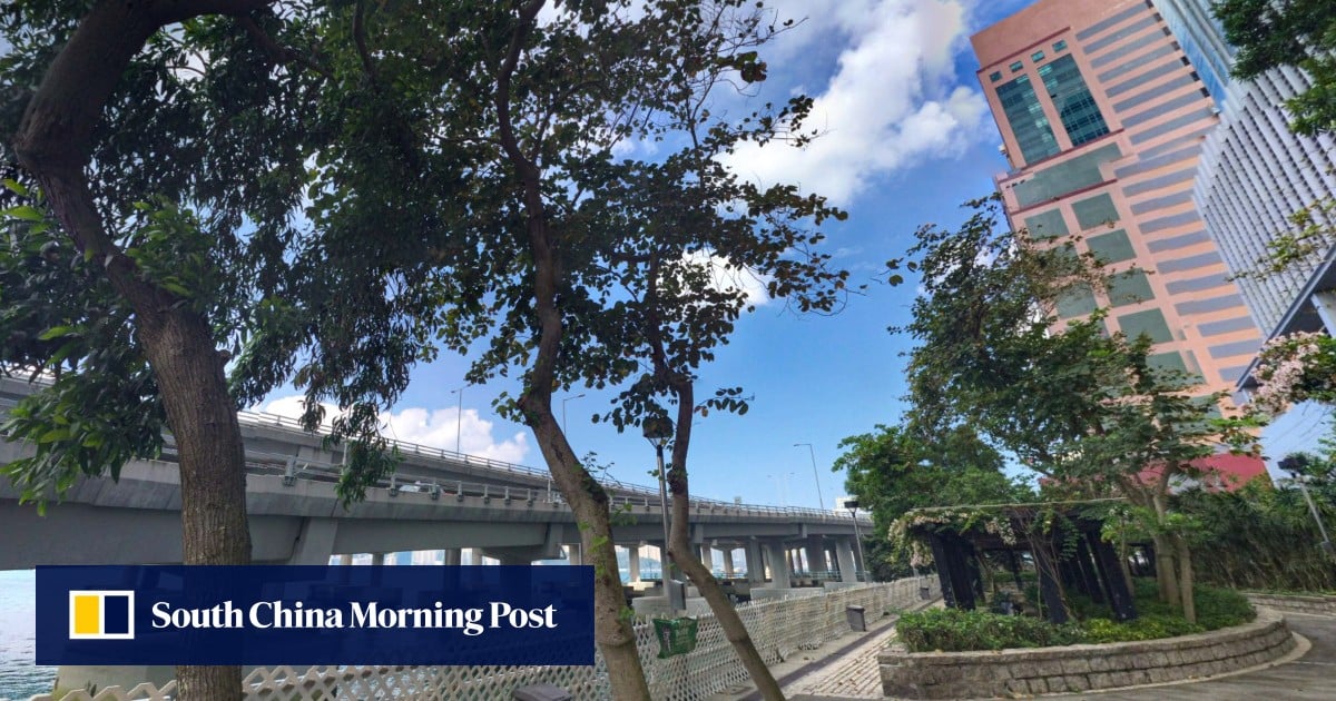https://cdn.i-scmp.com/sites/default/files/styles/og_image_scmp_generic/public/d8/images/canvas/2025/08/13/add0d1c8-b12a-49b1-958b-c5bd22756ade_1892b6a8.jpg?itok=iKljSe-U&v=1755077932