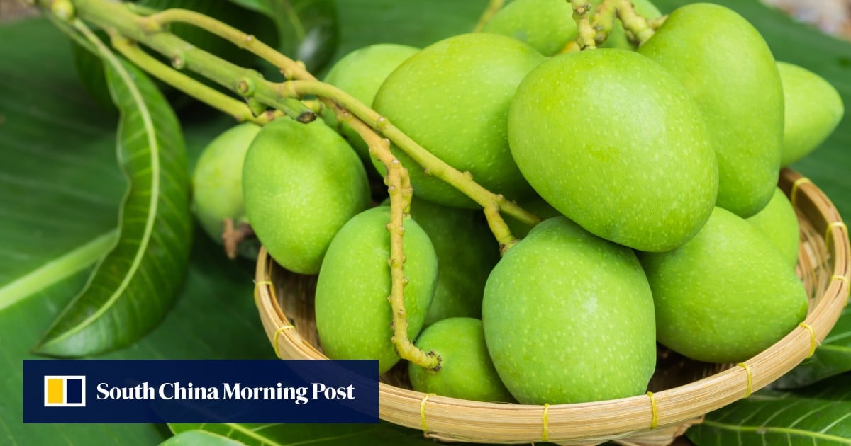 https://cdn.i-scmp.com/sites/default/files/styles/og_image_scmp_generic/public/d8/images/canvas/2025/08/13/c808cfb6-2e24-4b4e-b7c1-e180ff297ffd_96864195.jpg?itok=DaoRcOsq&v=1755050559