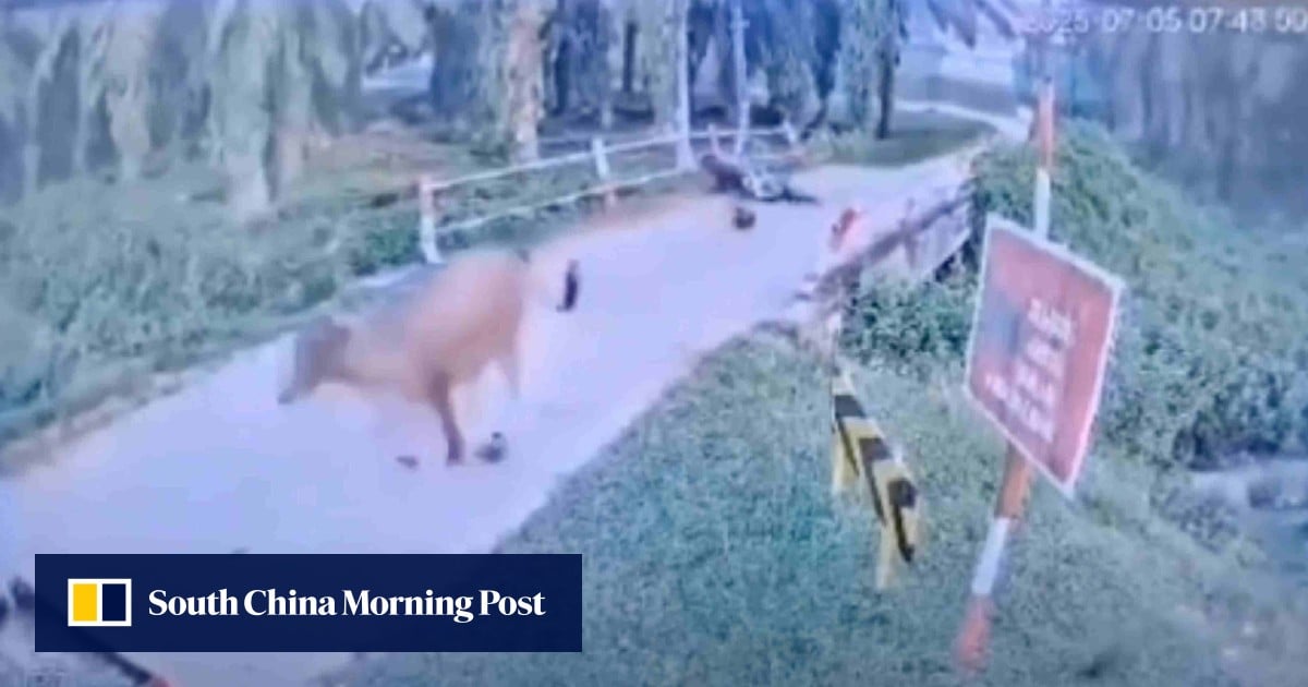 https://cdn.i-scmp.com/sites/default/files/styles/og_image_scmp_generic/public/d8/images/canvas/2025/08/14/0737d28b-3aee-44e0-afcc-92608535b393_aa9f0c3d.jpg?itok=ERs88cjd&v=1755161943