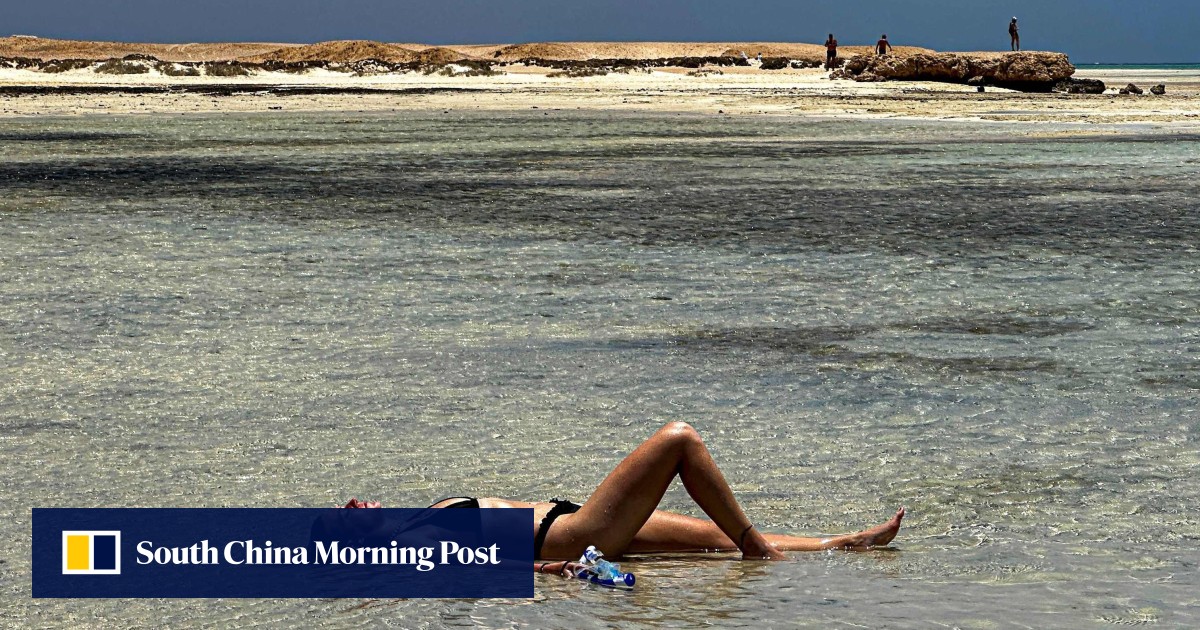 Egypt’s Red Sea tourism push threatens last of green turtles’ wild habitats