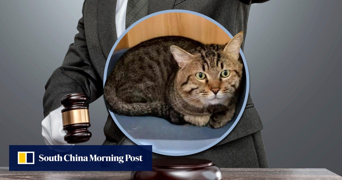 https://cdn.i-scmp.com/sites/default/files/styles/og_image_scmp_generic/public/d8/images/canvas/2025/08/20/b8b1b7b1-9635-4143-a28d-d7c59775d43f_5e7e982f.jpg?itok=soOinZIm&v=1755683852