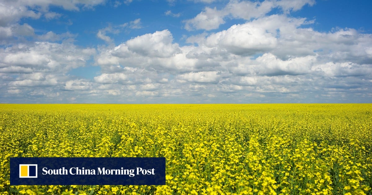 https://cdn.i-scmp.com/sites/default/files/styles/og_image_scmp_generic/public/d8/images/canvas/2025/08/20/e284c69b-4675-4906-a931-ca847d1823c5_98c9ee4b.jpg?itok=ZxRds9uS&v=1755682188