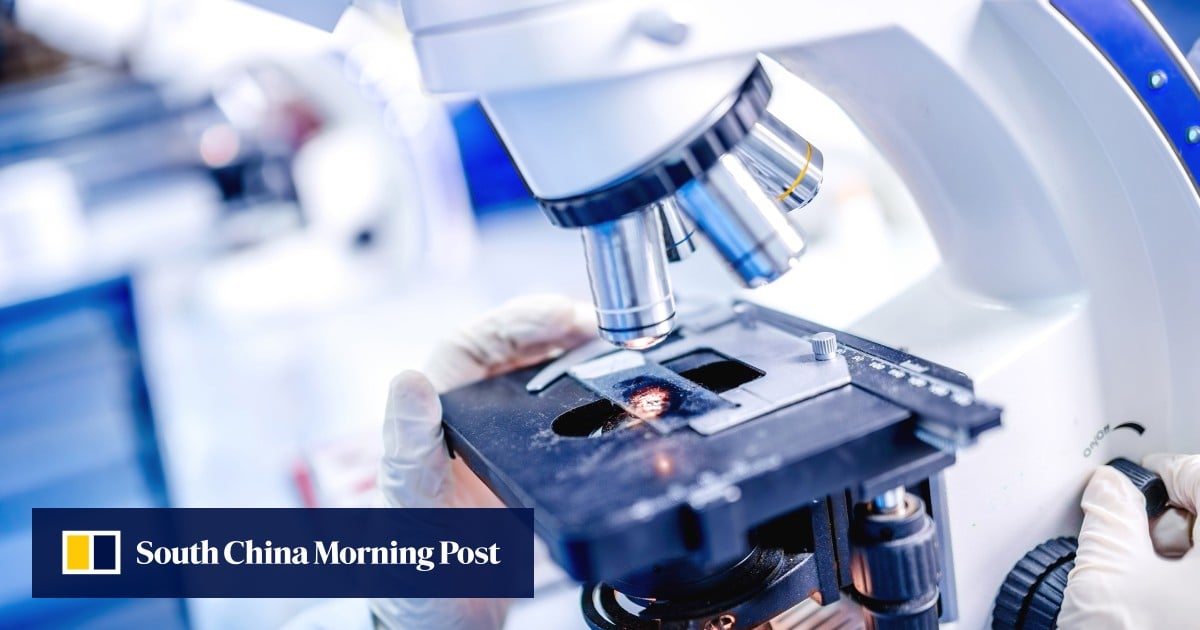 https://cdn.i-scmp.com/sites/default/files/styles/og_image_scmp_generic/public/d8/images/canvas/2025/08/21/48d971ea-87ee-4c6c-8b7d-a848e90864c9_f4cc0f8d.jpg?itok=rsw8W6Pc&v=1755766805