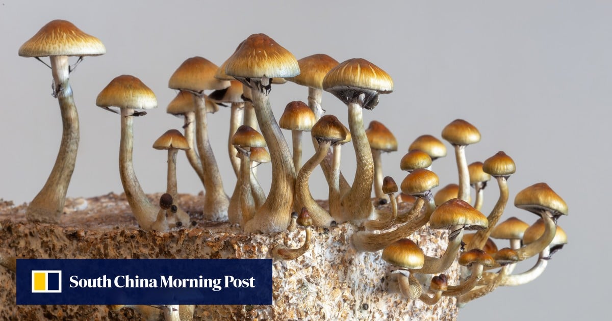 https://cdn.i-scmp.com/sites/default/files/styles/og_image_scmp_generic/public/d8/images/canvas/2025/08/21/8ebe55b5-85f0-4a89-aa48-c57b0c183980_b148802a.jpg?itok=JxzsjOJN&v=1755752496