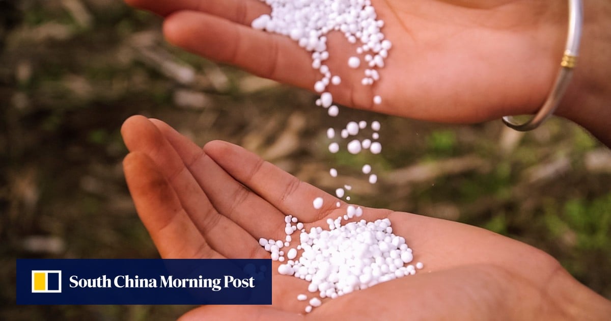 https://cdn.i-scmp.com/sites/default/files/styles/og_image_scmp_generic/public/d8/images/canvas/2025/08/21/f9017058-1d6c-4094-8094-a4fde75a3469_29fcf0b1.jpg?itok=Zjn0OKrr&v=1755756114