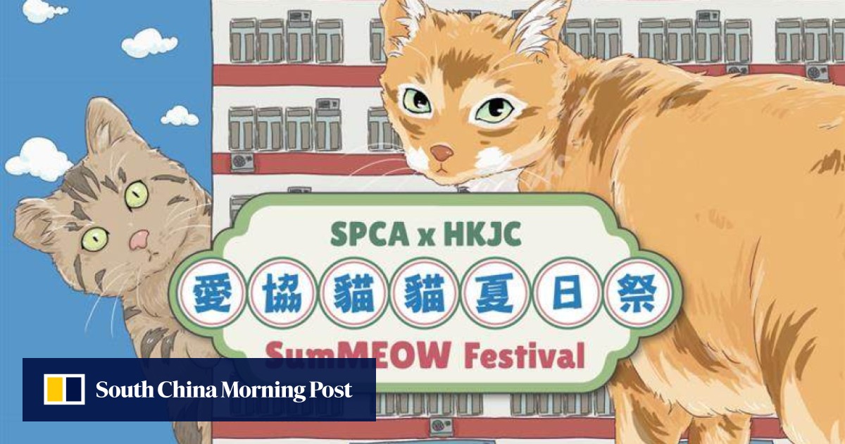 https://cdn.i-scmp.com/sites/default/files/styles/og_image_scmp_generic/public/d8/images/canvas/2025/08/22/1076f697-d2ea-469b-be2e-9efb441fa6b6_e69d18ed.jpg?itok=C9vv5b5l&v=1755829621