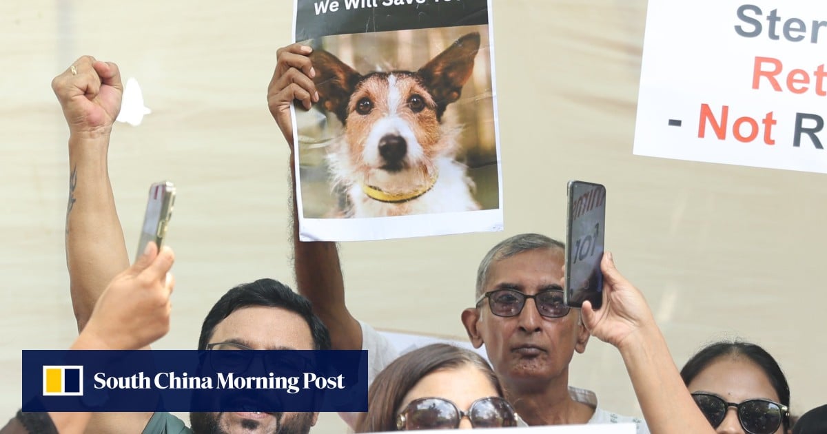 https://cdn.i-scmp.com/sites/default/files/styles/og_image_scmp_generic/public/d8/images/canvas/2025/08/22/54a1cc6b-bb06-4c9a-a6a8-24efc6332fbd_4a02d8d0.jpg?itok=j9nTlMEc&v=1755858256