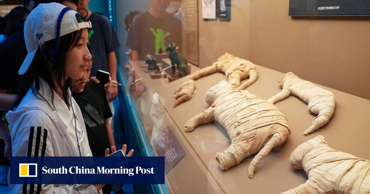 https://cdn.i-scmp.com/sites/default/files/styles/og_image_scmp_generic/public/d8/images/canvas/2025/08/22/8c9ce12e-b0b8-44f2-93a5-44d4baef25a3_aa590a73.jpg?itok=tH24Akdx&v=1755815000