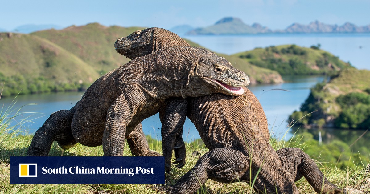 https://cdn.i-scmp.com/sites/default/files/styles/og_image_scmp_generic/public/d8/images/canvas/2025/08/22/f3a58d12-7df7-4874-91ad-085370a83b18_ac61161e.jpg?itok=FUbEOCjD&v=1755859114