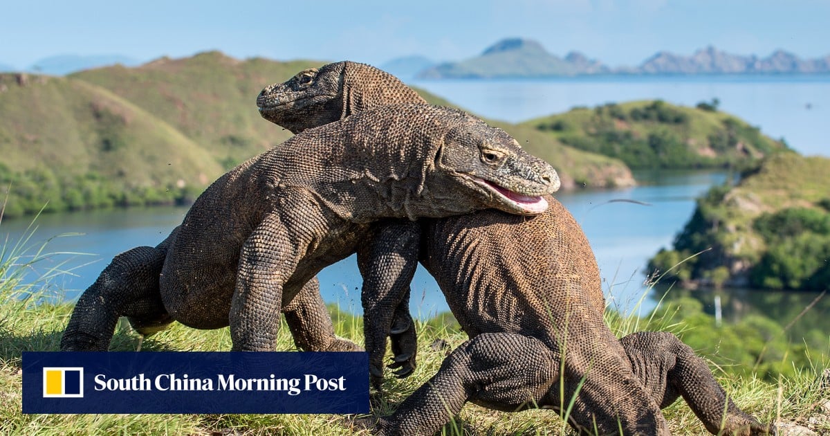 https://cdn.i-scmp.com/sites/default/files/styles/og_image_scmp_generic/public/d8/images/canvas/2025/08/22/f3a58d12-7df7-4874-91ad-085370a83b18_ac61161e.jpg?itok=FUbEOCjD&v=1755859114