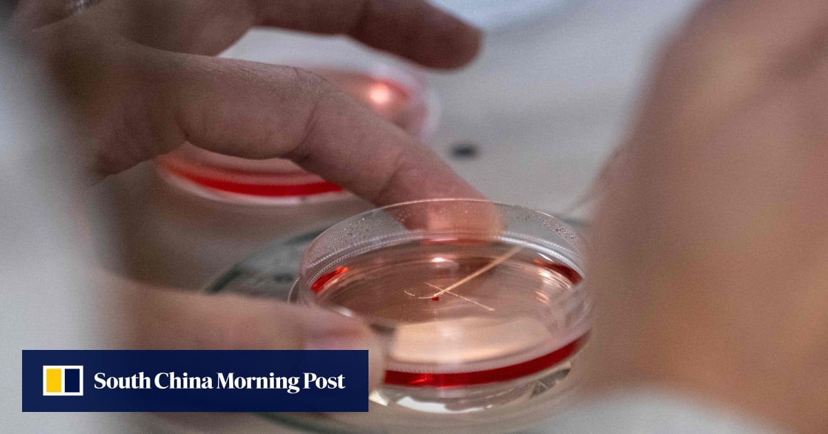 https://cdn.i-scmp.com/sites/default/files/styles/og_image_scmp_generic/public/d8/images/canvas/2025/08/23/bacfdd76-e2af-4c8a-93b9-ef7d3e3f3bf0_d3192776.jpg?itok=eXBF912W&v=1755920671