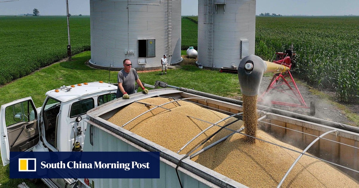 Chinese ownership of US farmland no threat to American security, envoy says