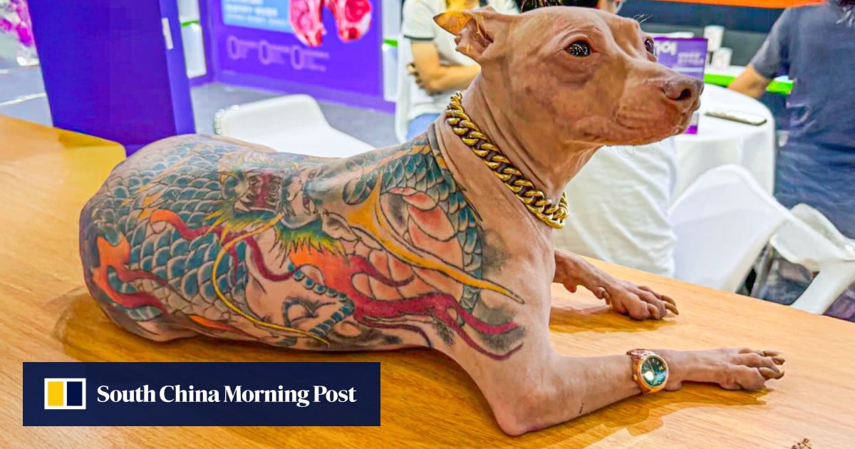 https://cdn.i-scmp.com/sites/default/files/styles/og_image_scmp_generic/public/d8/images/canvas/2025/08/26/fd5839d1-8c98-492a-a10b-91c82c403b96_529f82ca.jpg?itok=tmEB4qO4&v=1756201348