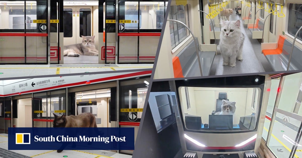 https://cdn.i-scmp.com/sites/default/files/styles/og_image_scmp_generic/public/d8/images/canvas/2025/08/27/0c8e5f2a-e48e-4252-90e5-50577d08d199_8bc0b0e3.jpg?itok=TjrXF-2x&v=1756280533