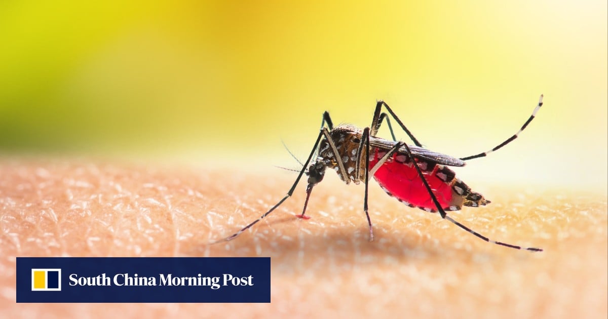 https://cdn.i-scmp.com/sites/default/files/styles/og_image_scmp_generic/public/d8/images/canvas/2025/08/27/496ea6f8-c9aa-4b96-a59c-fa5d36e32aac_f2371a94.jpg?itok=KTEyn_sp&v=1756308793