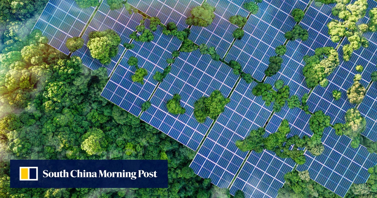 Why sustainable finance is critical for Asean SMEs seeking long-term resilience