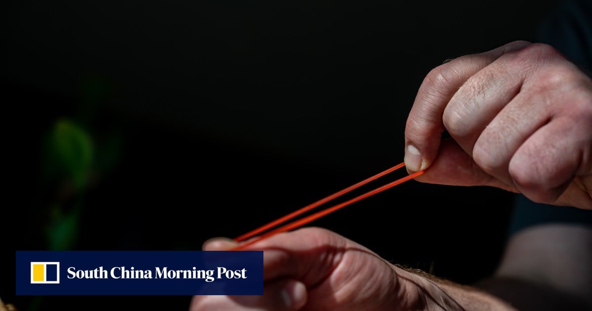 https://cdn.i-scmp.com/sites/default/files/styles/og_image_scmp_generic/public/d8/images/canvas/2025/09/01/ceafc1b4-0703-4868-8382-4b0b9484124b_76a75374.jpg?itok=wY8muFcv&v=1756712953