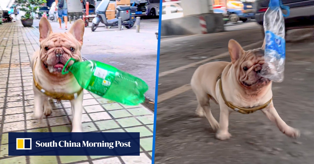 https://cdn.i-scmp.com/sites/default/files/styles/og_image_scmp_generic/public/d8/images/canvas/2025/09/02/cc7c7528-14f3-473c-ba7f-121918588f1f_37e60ec4.jpg?itok=hb1b3XZP&v=1756778342