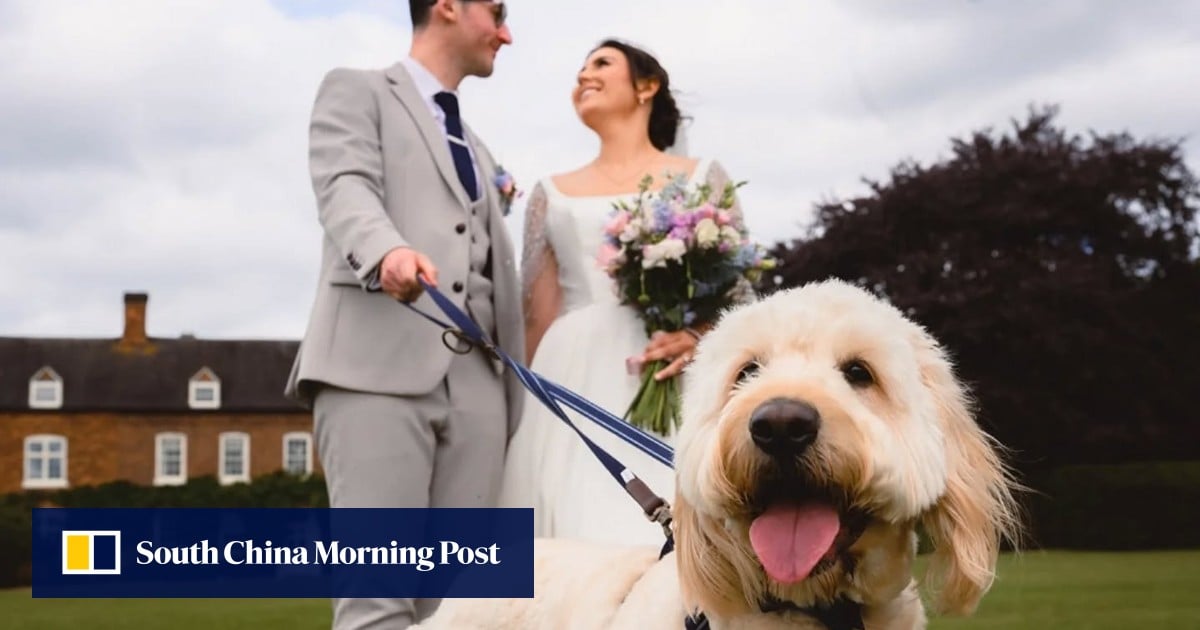 https://cdn.i-scmp.com/sites/default/files/styles/og_image_scmp_generic/public/d8/images/canvas/2025/09/04/234f9f06-d7c5-45ac-81a9-b9f839e790c1_8f649318.jpg?itok=N0jUEffi&v=1756963651