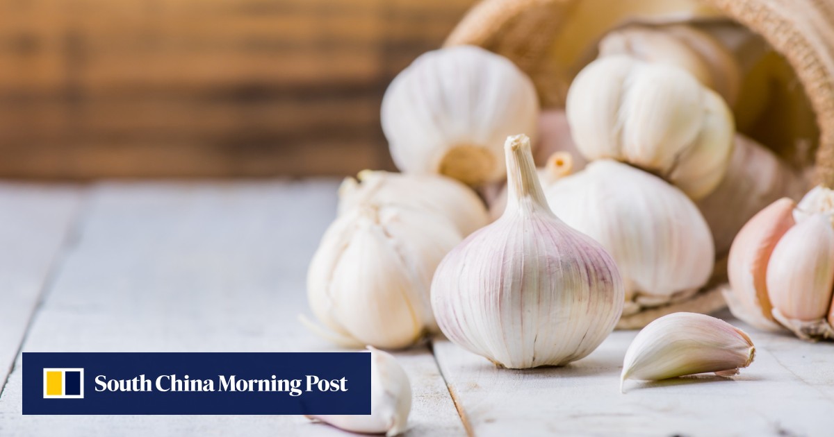 https://cdn.i-scmp.com/sites/default/files/styles/og_image_scmp_generic/public/d8/images/canvas/2025/09/04/61ec3282-6e71-440e-bf72-9a54e8b20896_4faaf94e.jpg?itok=DXPHPcnP&v=1756952623
