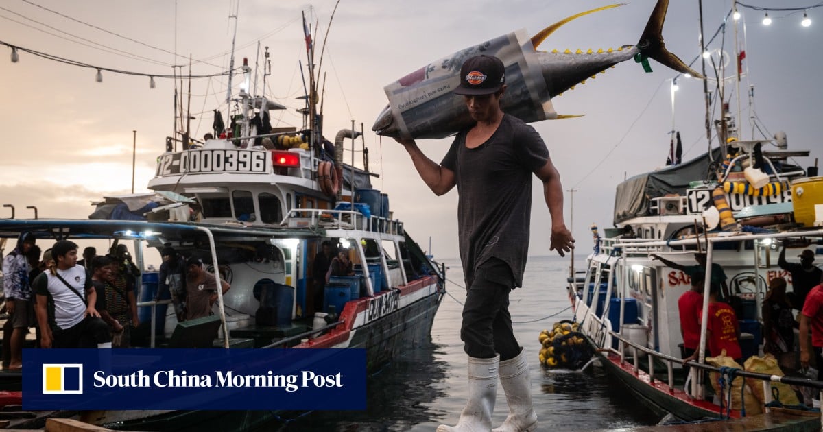 https://cdn.i-scmp.com/sites/default/files/styles/og_image_scmp_generic/public/d8/images/canvas/2025/09/05/e7649d5f-b9ee-455d-a39c-339e4a52902f_bfaeaf7c.jpg?itok=Omyitx1_&v=1757057497