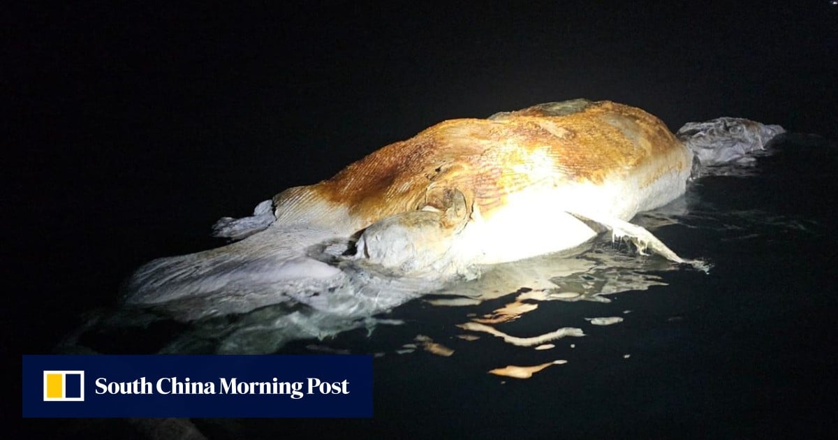 https://cdn.i-scmp.com/sites/default/files/styles/og_image_scmp_generic/public/d8/images/canvas/2025/09/06/b2d9527c-8b8b-482b-b3d5-95d81c76b5fd_4f841003.jpg?itok=VL1562AC&v=1757115446