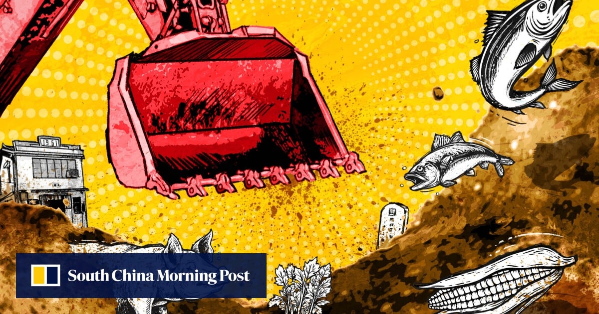 https://cdn.i-scmp.com/sites/default/files/styles/og_image_scmp_generic/public/d8/images/canvas/2025/09/06/eab3792f-c191-43a7-8fb4-b7bfe12b9642_2c2e02ff.jpg?itok=o4RcKyw7&v=1757173277