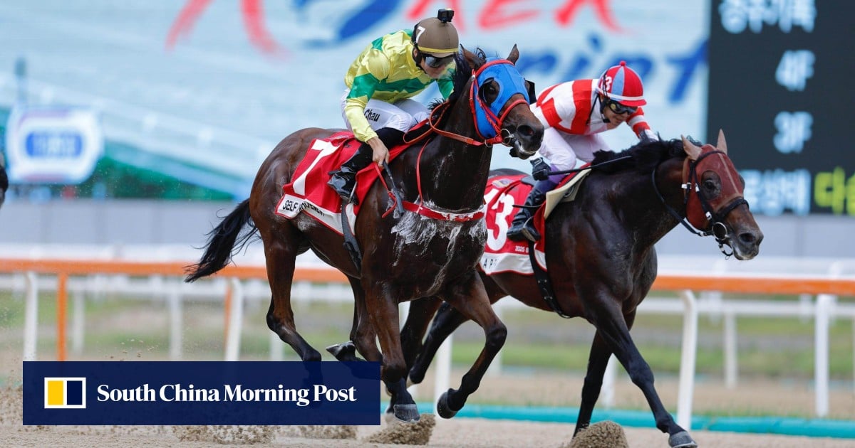 https://cdn.i-scmp.com/sites/default/files/styles/og_image_scmp_generic/public/d8/images/canvas/2025/09/08/42463ac7-e3bc-40c9-acad-05123835733b_3fee8e4f.jpg?itok=5UQF6LQY&v=1757326946
