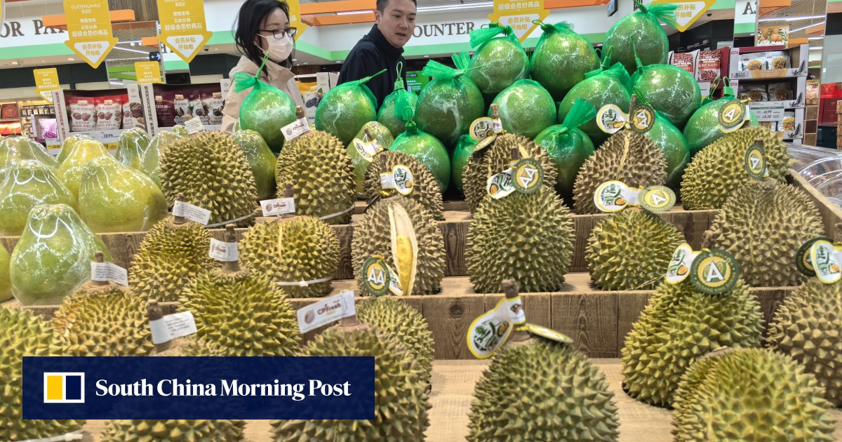China Imports Record Durian Volumes via Laos Rail, Builds Faster Dalian Transit Hub