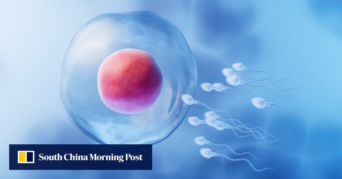 https://cdn.i-scmp.com/sites/default/files/styles/og_image_scmp_generic/public/d8/images/canvas/2025/09/08/d0ccde27-6f7c-4e41-ace4-cc9b811ea7b2_3d2fa0d3.jpg?itok=351CEDtL
