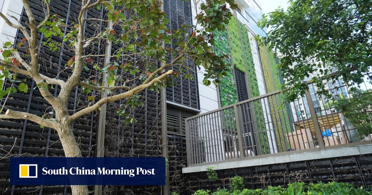 https://cdn.i-scmp.com/sites/default/files/styles/og_image_scmp_generic/public/d8/images/canvas/2025/09/08/db373fe0-b2f5-4130-a625-34fc0460c435_0a8f3a46.jpg?itok=irBLmxs8&v=1757306303