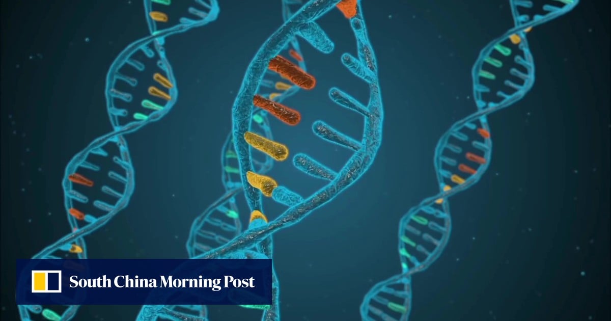 https://cdn.i-scmp.com/sites/default/files/styles/og_image_scmp_generic/public/d8/images/canvas/2025/09/09/8cab9ea8-9de6-495c-b5c5-19bfd0bf7a19_b57669ca.jpg?itok=TIq7YNco&v=1757415489