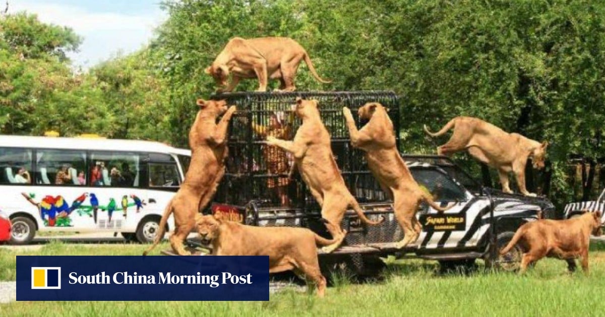 https://cdn.i-scmp.com/sites/default/files/styles/og_image_scmp_generic/public/d8/images/canvas/2025/09/10/ea16b8bf-22e9-4111-b923-5aa74b21f172_27793146.jpg?itok=w6bKjw2K&v=1757504853